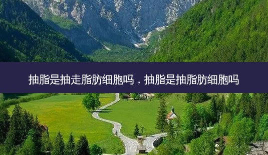 抽脂是抽走脂肪细胞吗，抽脂是抽脂肪细胞吗-第1张图片-琢颜网 - 美丽容颜从这里开始