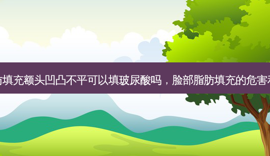 脸部脂肪填充额头凹凸不平可以填玻尿酸吗,脸部脂肪填充的危害和后遗症-第1张图片-琢颜网 - 美丽容颜从这里开始 脸部脂肪填充额头凹凸不平可以填玻尿酸吗,脸部脂肪填充的危害和后遗症-第1张图片-琢颜网 - 美丽容颜从这里开始