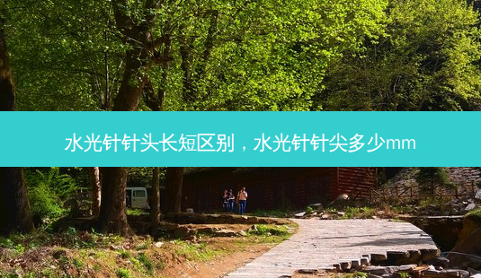 水光针针头长短区别,水光针针尖多少mm-第1张图片-琢颜网 - 美丽容颜从这里开始 水光针针头长短区别,水光针针尖多少mm-第1张图片-琢颜网 - 美丽容颜从这里开始