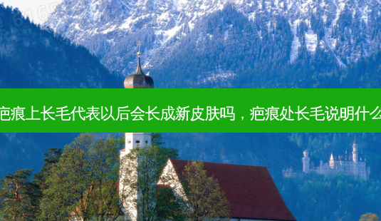 疤痕上长毛代表以后会长成新皮肤吗,疤痕处长毛说明什么-第1张图片-琢颜网 - 美丽容颜从这里开始 疤痕上长毛代表以后会长成新皮肤吗,疤痕处长毛说明什么-第1张图片-琢颜网 - 美丽容颜从这里开始