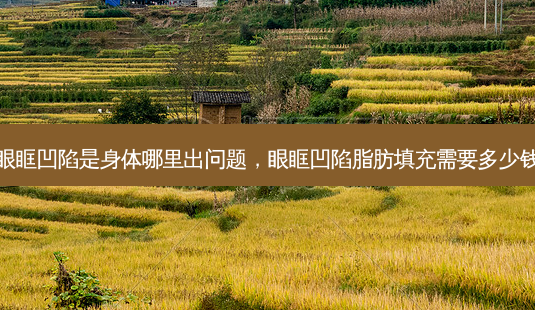 眼眶凹陷是身体哪里出问题,眼眶凹陷脂肪填充需要多少钱-第1张图片-琢颜网 - 美丽容颜从这里开始 眼眶凹陷是身体哪里出问题,眼眶凹陷脂肪填充需要多少钱-第1张图片-琢颜网 - 美丽容颜从这里开始