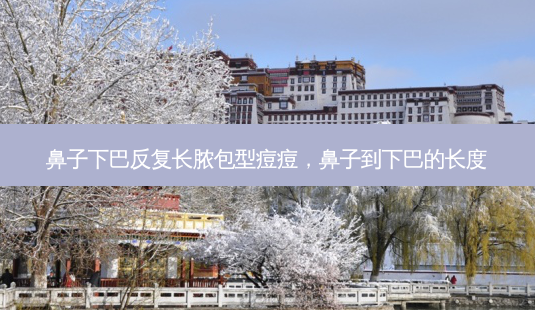 鼻子下巴反复长脓包型痘痘,鼻子到下巴的长度-第1张图片-琢颜网 - 美丽容颜从这里开始 鼻子下巴反复长脓包型痘痘,鼻子到下巴的长度-第1张图片-琢颜网 - 美丽容颜从这里开始