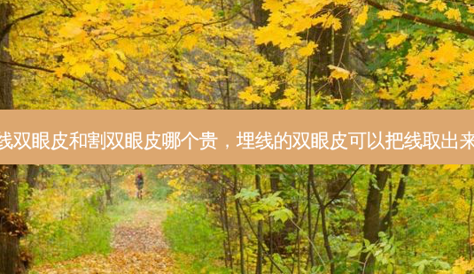 埋线双眼皮和割双眼皮哪个贵,埋线的双眼皮可以把线取出来吗-第1张图片-琢颜网 - 美丽容颜从这里开始 埋线双眼皮和割双眼皮哪个贵,埋线的双眼皮可以把线取出来吗-第1张图片-琢颜网 - 美丽容颜从这里开始