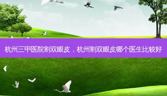杭州三甲医院割双眼皮,杭州割双眼皮哪个医生比较好-第1张图片-琢颜网 - 美丽容颜从这里开始 杭州三甲医院割双眼皮,杭州割双眼皮哪个医生比较好-第1张图片-琢颜网 - 美丽容颜从这里开始