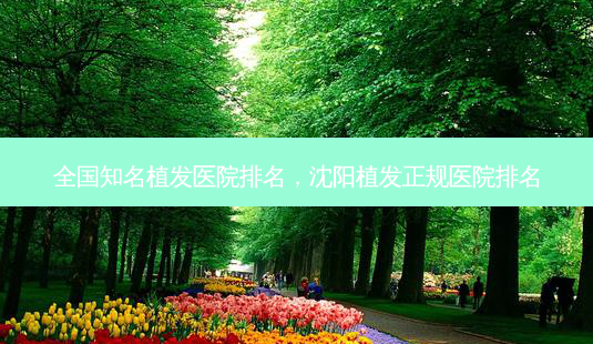 全国知名植发医院排名,沈阳植发正规医院排名-第1张图片-琢颜网 - 美丽容颜从这里开始 全国知名植发医院排名,沈阳植发正规医院排名-第1张图片-琢颜网 - 美丽容颜从这里开始
