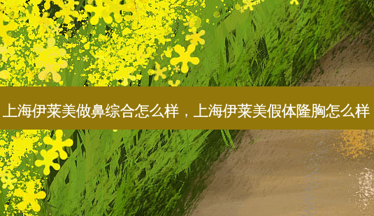 上海伊莱美做鼻综合怎么样,上海伊莱美假体隆胸怎么样-第1张图片-琢颜网 - 美丽容颜从这里开始 上海伊莱美做鼻综合怎么样,上海伊莱美假体隆胸怎么样-第1张图片-琢颜网 - 美丽容颜从这里开始
