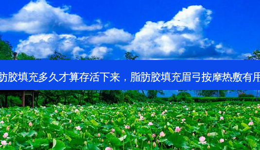脂肪胶填充多久才算存活下来,脂肪胶填充眉弓按摩热敷有用吗-第1张图片-琢颜网 - 美丽容颜从这里开始 脂肪胶填充多久才算存活下来,脂肪胶填充眉弓按摩热敷有用吗-第1张图片-琢颜网 - 美丽容颜从这里开始