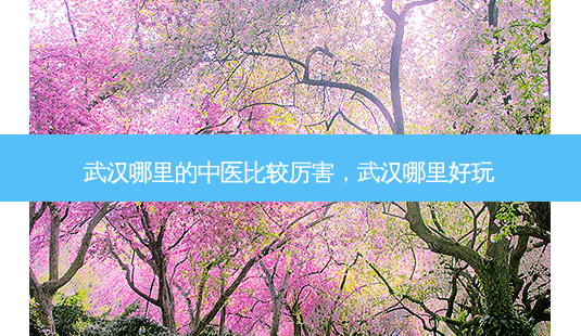 武汉哪里的中医比较厉害,武汉哪里好玩-第1张图片-琢颜网 - 美丽容颜从这里开始 武汉哪里的中医比较厉害,武汉哪里好玩-第1张图片-琢颜网 - 美丽容颜从这里开始