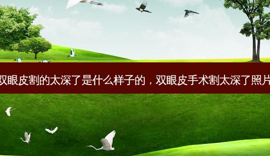 双眼皮割的太深了是什么样子的,双眼皮手术割太深了照片-第1张图片-琢颜网 - 美丽容颜从这里开始 双眼皮割的太深了是什么样子的,双眼皮手术割太深了照片-第1张图片-琢颜网 - 美丽容颜从这里开始