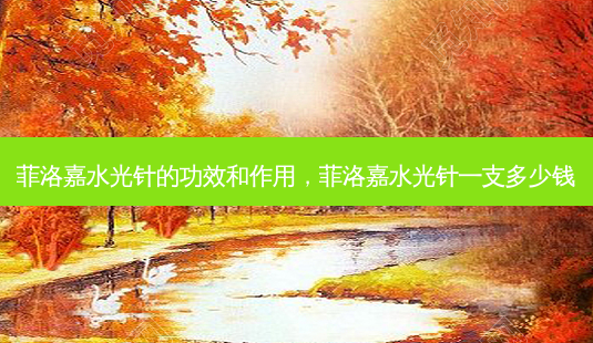 菲洛嘉水光针的功效和作用,菲洛嘉水光针一支多少钱-第1张图片-琢颜网 - 美丽容颜从这里开始 菲洛嘉水光针的功效和作用,菲洛嘉水光针一支多少钱-第1张图片-琢颜网 - 美丽容颜从这里开始