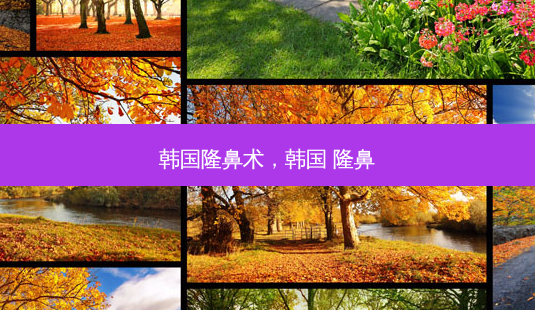 韩国隆鼻术,韩国 隆鼻-第1张图片-琢颜网 - 美丽容颜从这里开始 韩国隆鼻术,韩国 隆鼻-第1张图片-琢颜网 - 美丽容颜从这里开始
