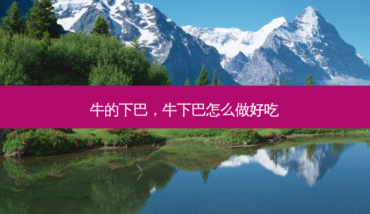 牛的下巴,牛下巴怎么做好吃-第1张图片-琢颜网 - 美丽容颜从这里开始 牛的下巴,牛下巴怎么做好吃-第1张图片-琢颜网 - 美丽容颜从这里开始