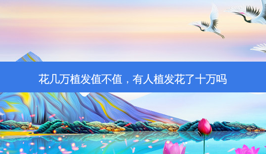 花几万植发值不值,有人植发花了十万吗-第1张图片-琢颜网 - 美丽容颜从这里开始 花几万植发值不值,有人植发花了十万吗-第1张图片-琢颜网 - 美丽容颜从这里开始