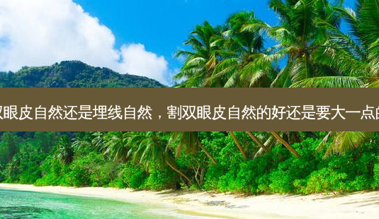 割双眼皮自然还是埋线自然,割双眼皮自然的好还是要大一点的好-第1张图片-琢颜网 - 美丽容颜从这里开始 割双眼皮自然还是埋线自然,割双眼皮自然的好还是要大一点的好-第1张图片-琢颜网 - 美丽容颜从这里开始
