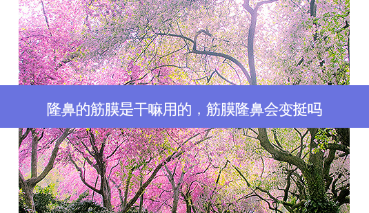 隆鼻的筋膜是干嘛用的,筋膜隆鼻会变挺吗-第1张图片-琢颜网 - 美丽容颜从这里开始 隆鼻的筋膜是干嘛用的,筋膜隆鼻会变挺吗-第1张图片-琢颜网 - 美丽容颜从这里开始