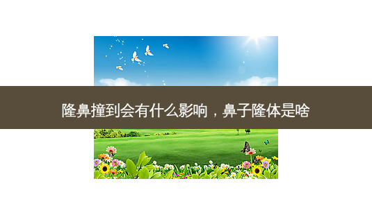 隆鼻撞到会有什么影响,鼻子隆体是啥-第1张图片-琢颜网 - 美丽容颜从这里开始 隆鼻撞到会有什么影响,鼻子隆体是啥-第1张图片-琢颜网 - 美丽容颜从这里开始