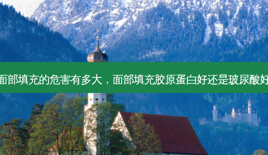 面部填充的危害有多大,面部填充胶原蛋白好还是玻尿酸好-第1张图片-琢颜网 - 美丽容颜从这里开始 面部填充的危害有多大,面部填充胶原蛋白好还是玻尿酸好-第1张图片-琢颜网 - 美丽容颜从这里开始