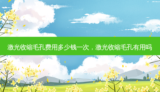 激光收缩毛孔费用多少钱一次,激光收缩毛孔有用吗-第1张图片-琢颜网 - 美丽容颜从这里开始 激光收缩毛孔费用多少钱一次,激光收缩毛孔有用吗-第1张图片-琢颜网 - 美丽容颜从这里开始